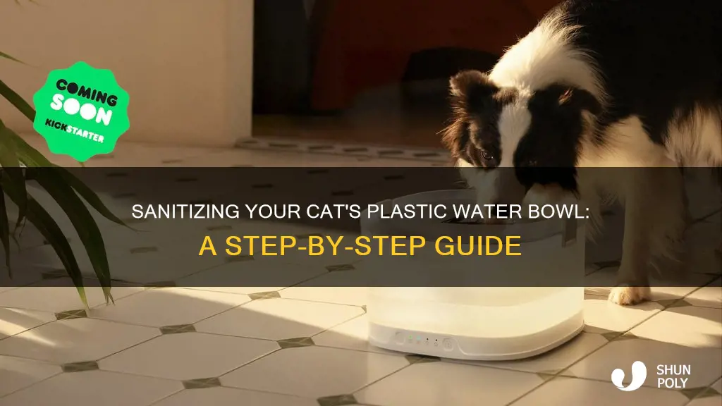 how to disinfect plastic cat water bowl