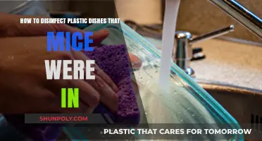 Effective Disinfection: Cleaning Plastic Dishes After a Mouse Invasion