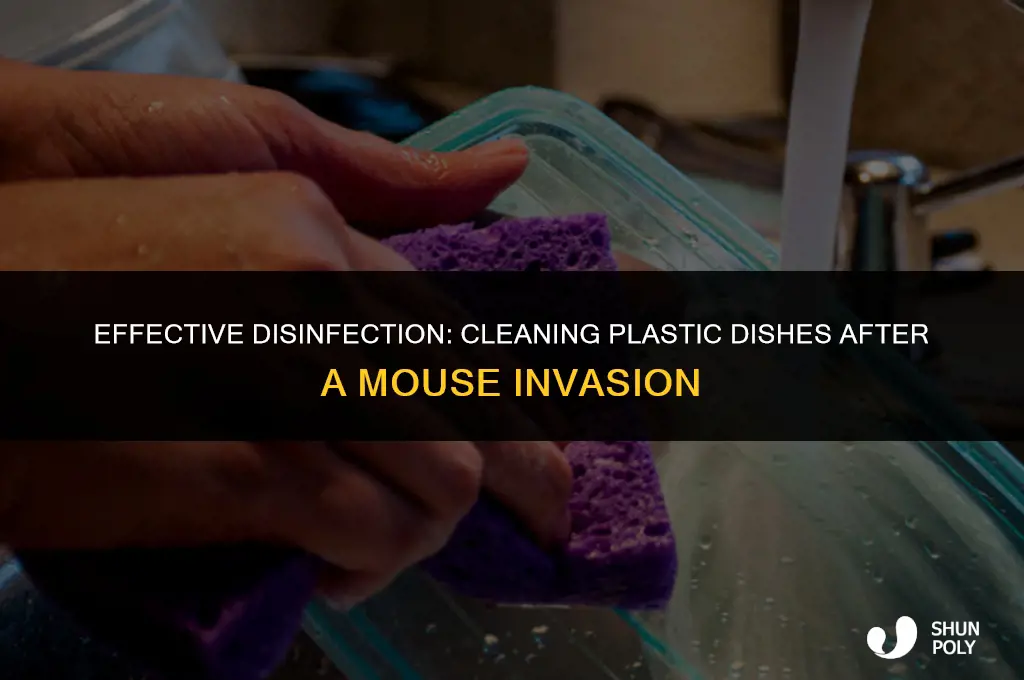 how to disinfect plastic dishes that mice were in