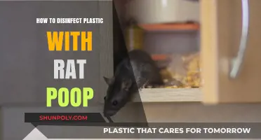 Disinfecting Plastic with Rat Droppings: A Safe Guide