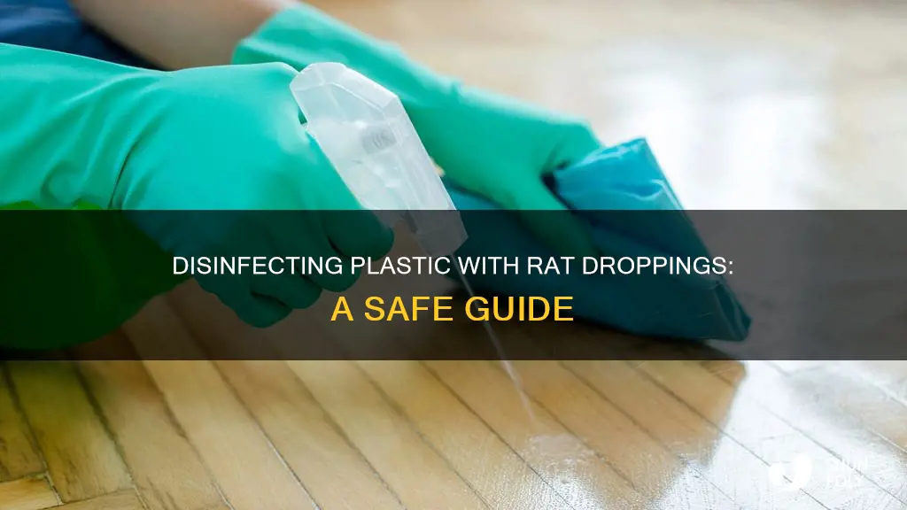how to disinfect plastic with rat poop