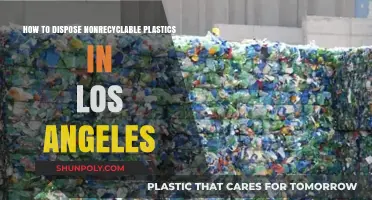 Eco-Friendly Disposal: Non-Recyclable Plastics in Los Angeles