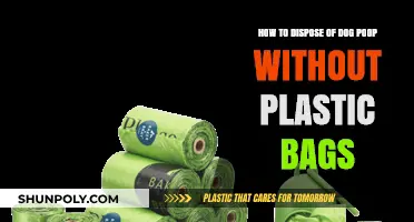 Eco-Friendly Dog Poop Disposal: Plastic-Free Solutions for Responsible Pet Owners