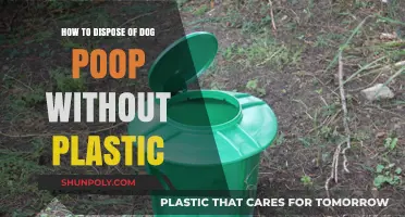 Eco-Friendly Ways to Dispose of Dog Poop Without Plastic