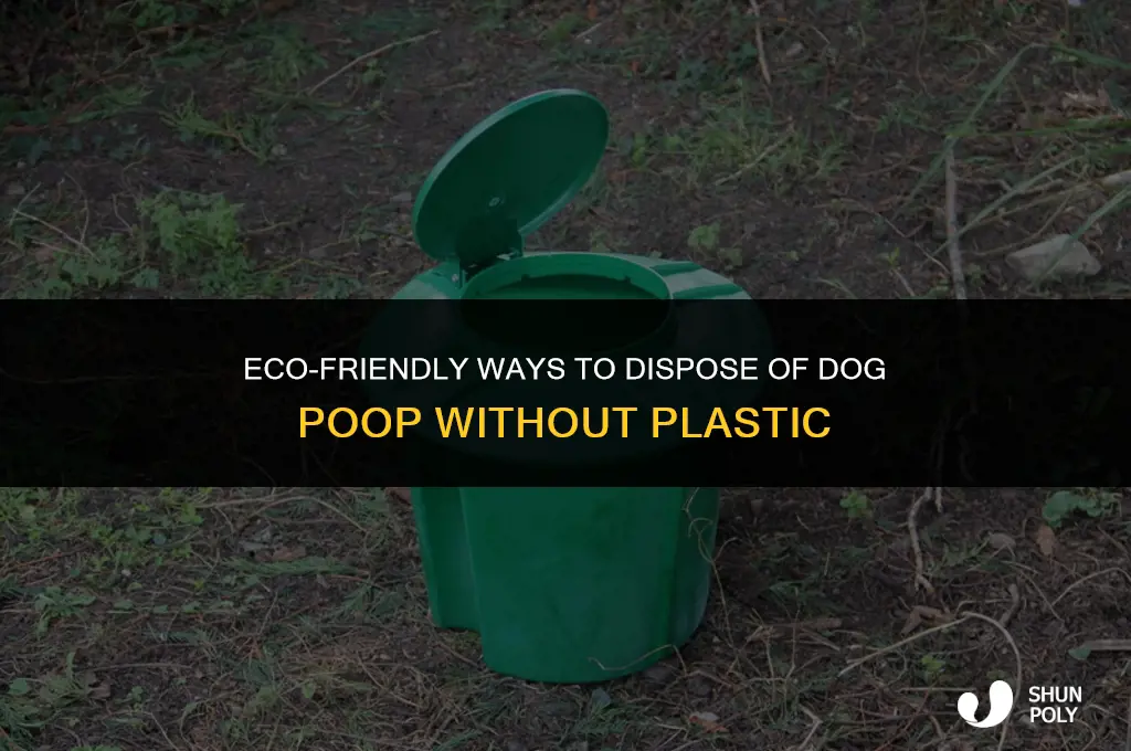 how to dispose of dog poop without plastic