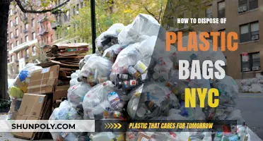 Eco-Friendly Tips: Properly Disposing of Plastic Bags in NYC