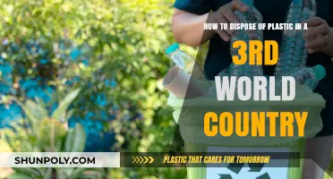 Sustainable Solutions: Plastic Disposal in Developing Nations