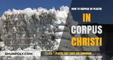 Eco-Friendly Disposal: A Guide to Plastic Recycling in Corpus Christi