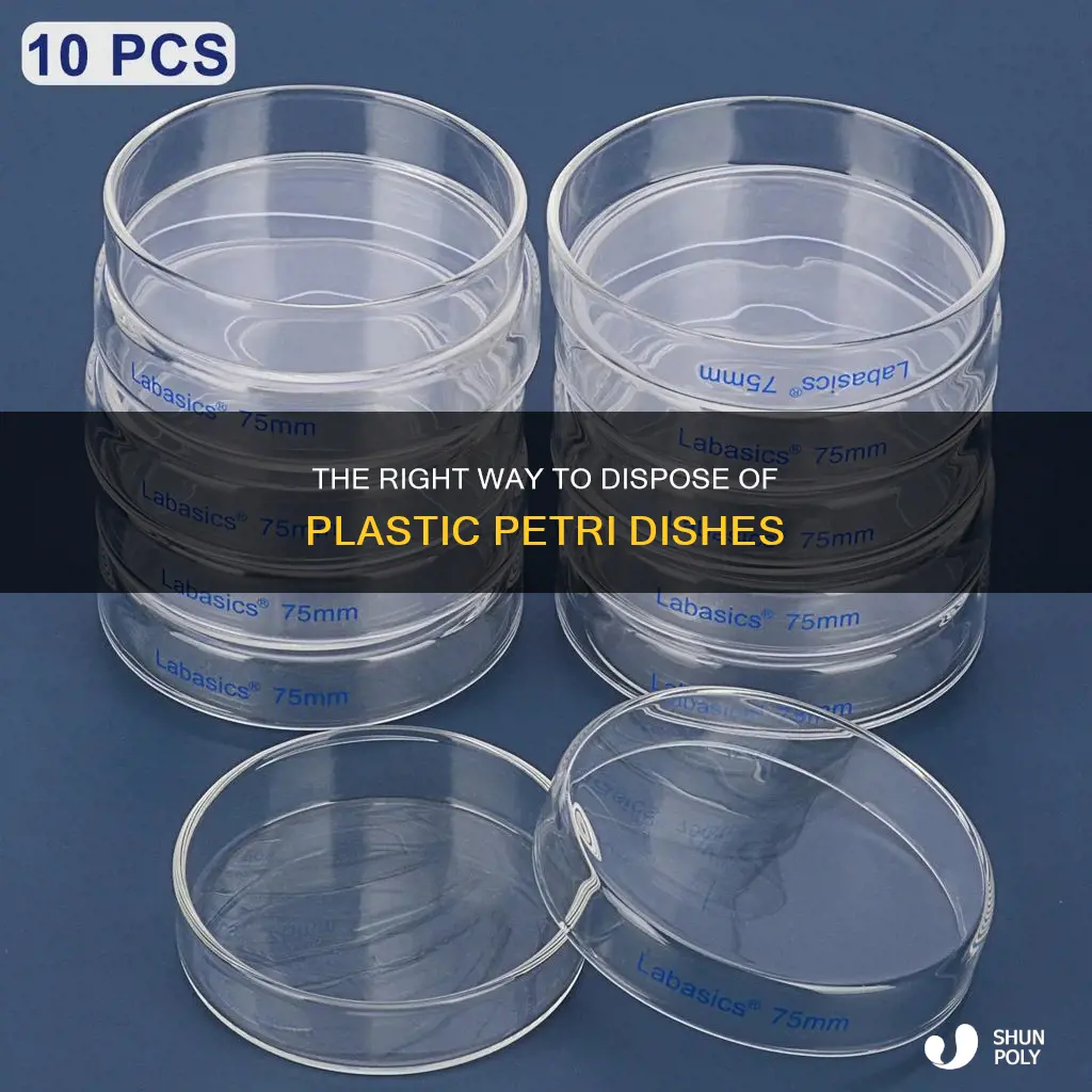 how to dispose of plastic petri dishes