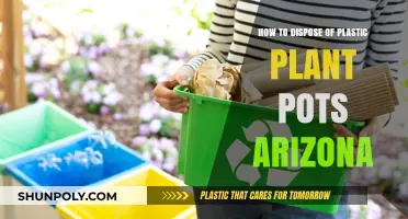 Eco-Friendly Disposal of Plastic Plant Pots in Arizona