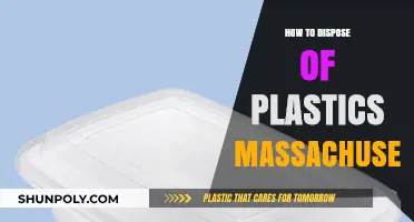 The Right Way to Dispose of Plastics in Massachusetts
