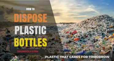 Eco-Friendly Ways to Dispose of Plastic Bottles Responsibly