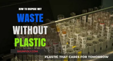 Green Disposal: Wet Waste Without Plastic