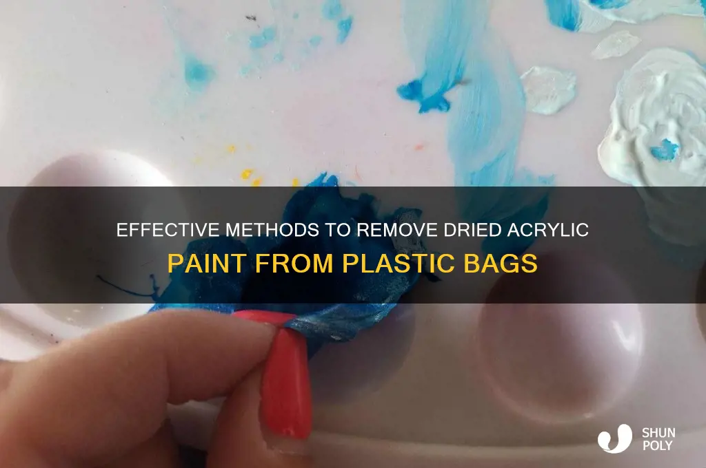 how to dissolve dried acrylic paint from plastic bags
