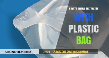 DIY Survival Hack: Distilling Salt Water Using a Plastic Bag