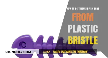 Sorting Seafood: The Easy Way to Identify Fish Bones vs. Plastic Bristles