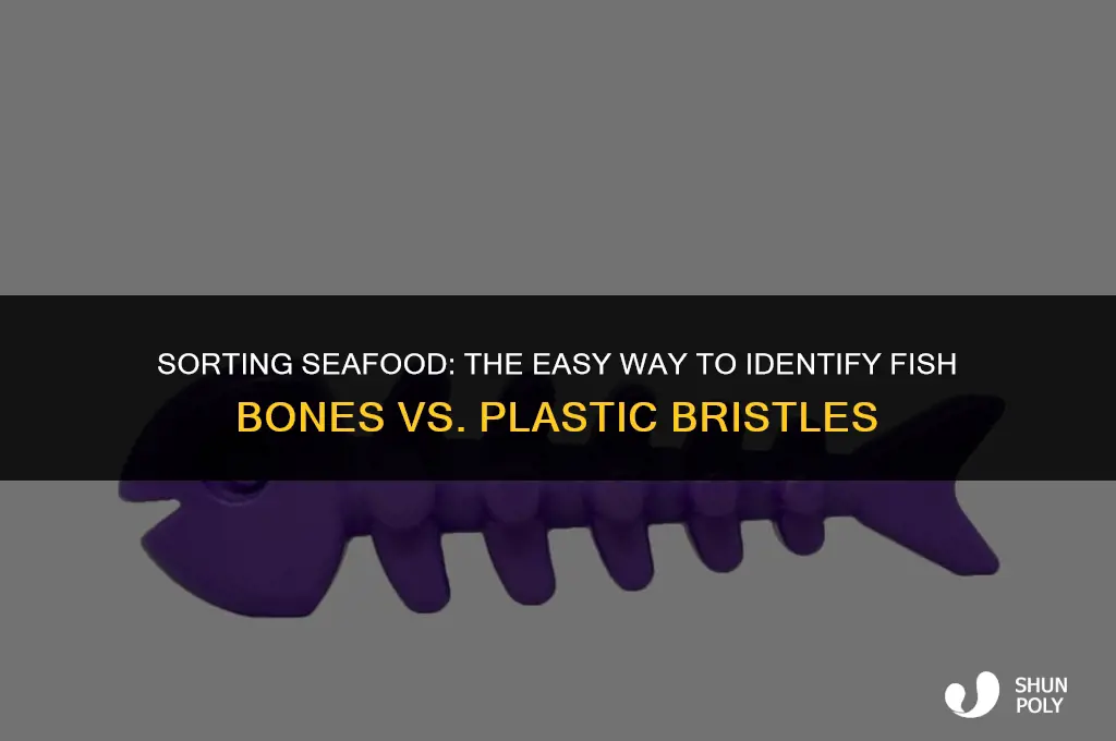how to distinguish fish bone from plastic bristle