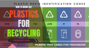 Mastering Plastic Sorting: A Guide to Efficient Recycling