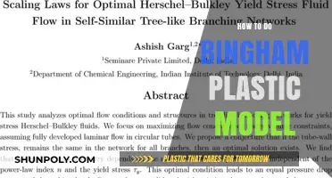 Exploring the Intricacies of the Bingham Plastic Model