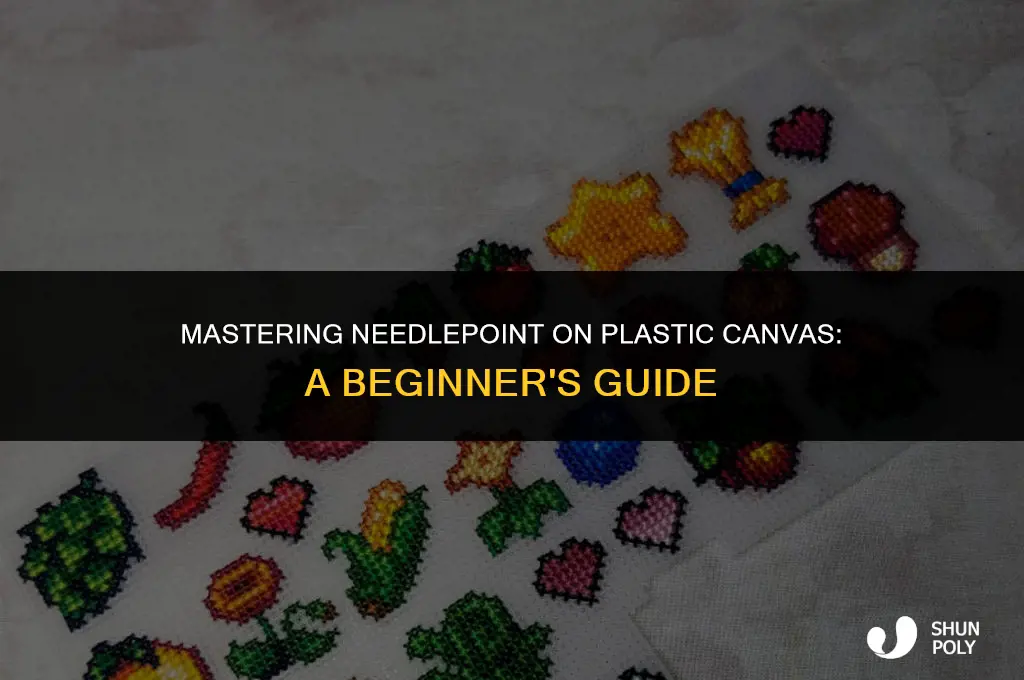 how to do needlw point on plastic canvis