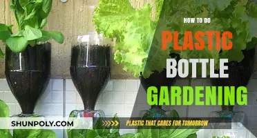 Creative Plastic Bottle Gardening: Eco-Friendly Tips for Small Spaces
