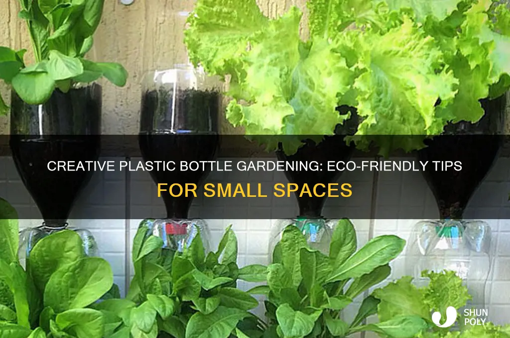 how to do plastic bottle gardening