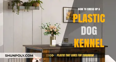 Creative Ways to Spruce Up Your Plastic Dog Kennel