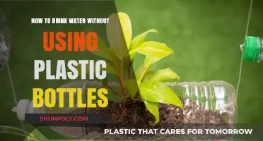 Eco-Friendly Hydration: Ditch Plastic Bottles for Sustainable Water Drinking