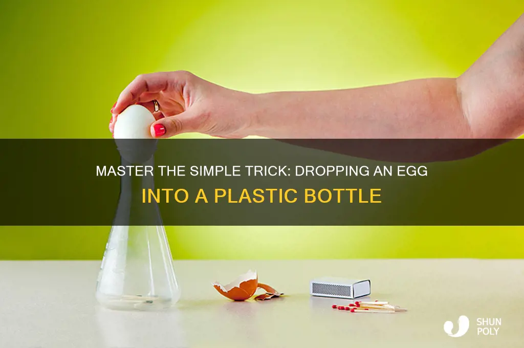 how to drop egg into plastic bottle