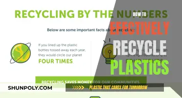 Mastering Plastic Recycling: Tips for a Greener Future