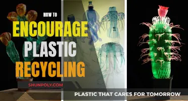 Innovative Strategies: Boosting Plastic Recycling for a Greener Future