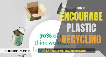 Encouraging Plastic Recycling: A Guide to Environmental Stewardship