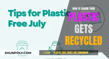 Mastering Plastic Recycling: Tips for a Greener Future