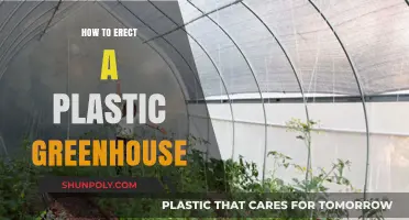 Setting Up a Plastic Greenhouse: A Step-by-Step Guide