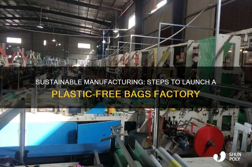 how to establish a plastic free bags factory