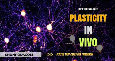 Evaluating Plasticity In Vivo: Techniques and Applications