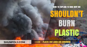 Eco-Friendly Lessons: Teaching Kids the Dangers of Burning Plastic
