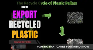 Mastering the Art of Recycling: Exporting Recycled Plastic