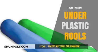 Plastic Roll Farming: Techniques for Success