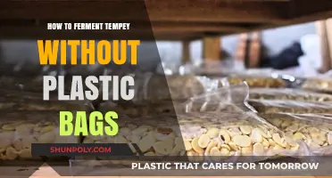 Eco-Friendly Tempeh Fermentation: Plastic-Free Methods for Homemade Tempey
