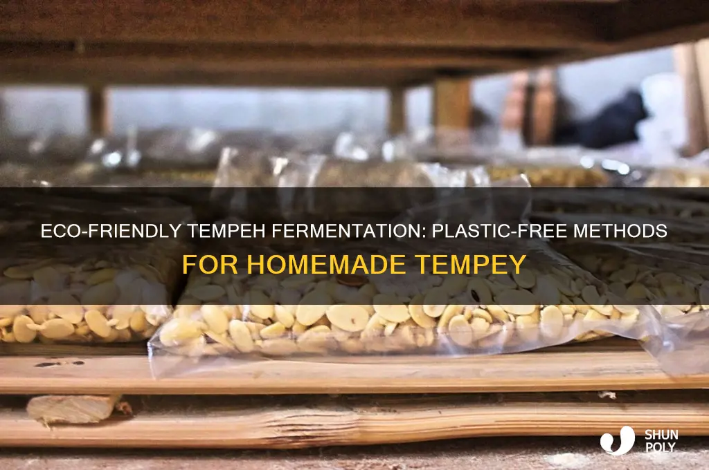 how to ferment tempey without plastic bags