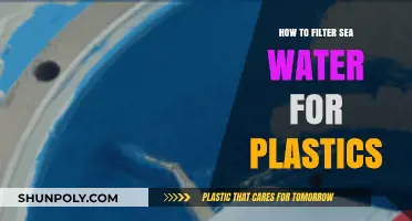 Filtering Sea Water: Plastic Removal Techniques