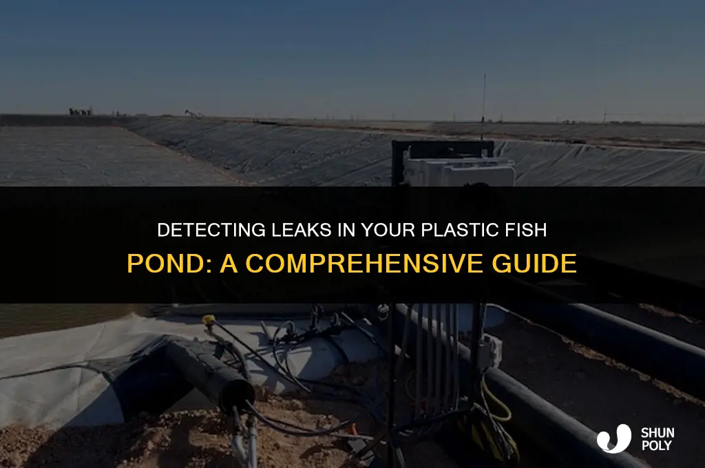 how to find a leak in a plastic fish pond