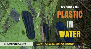 Detecting Microplastics: Testing Water for Plastics