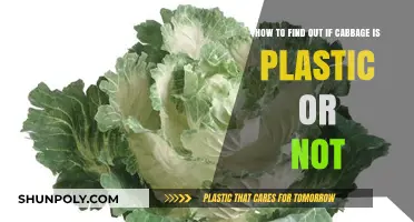 Unveiling the Truth: How to Spot Plastic Cabbage in Your Grocery Haul