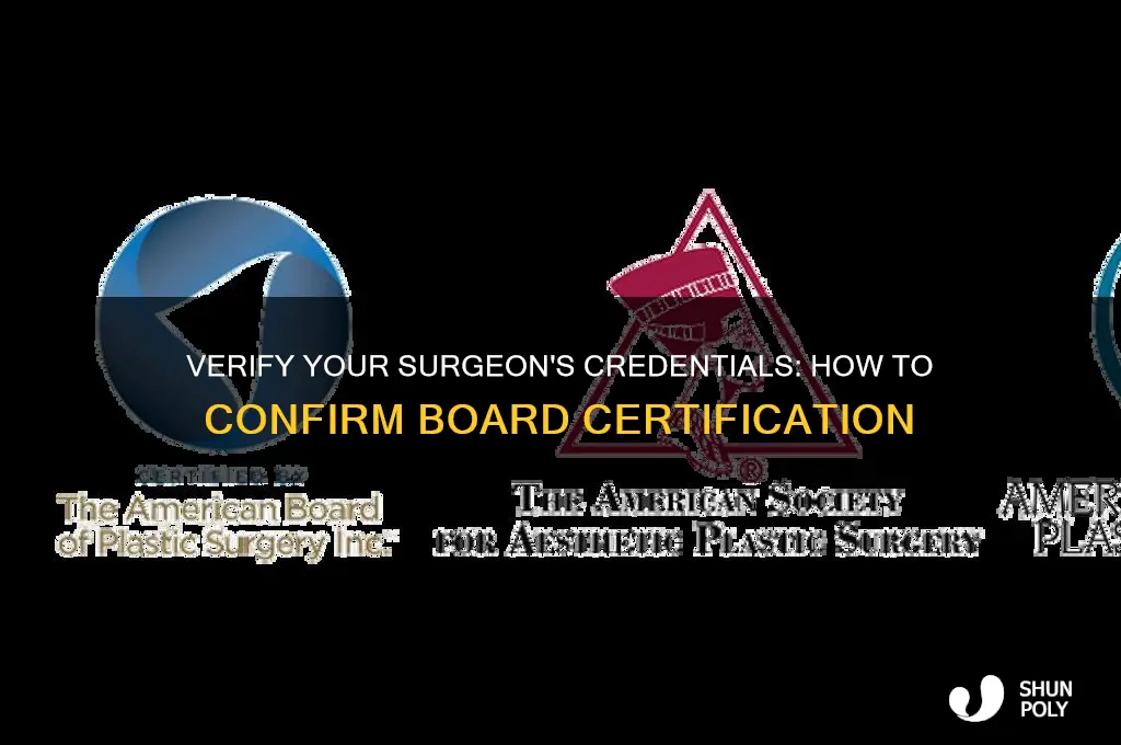 how to find out if plastic surgeon is board certified