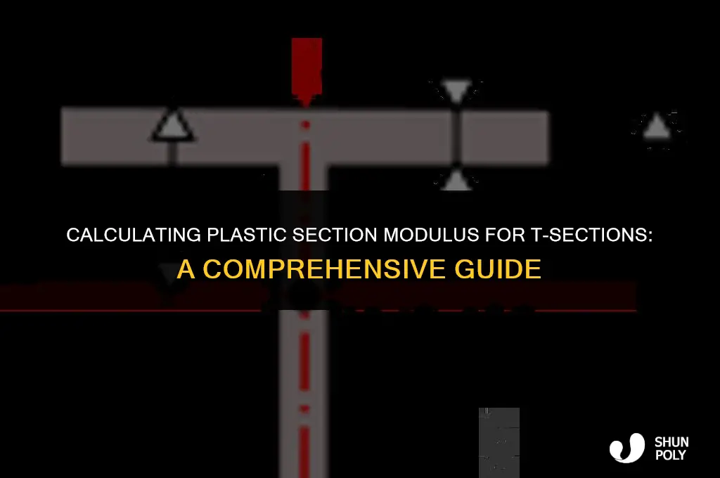 how to find plastic section modulus of t section