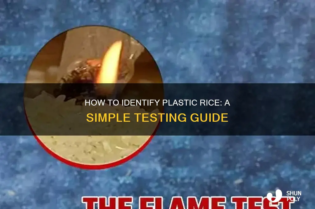 how to find rice is made of plastic