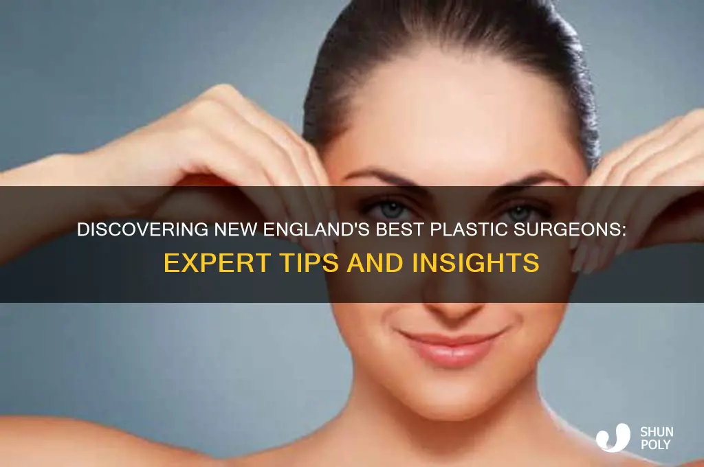 how to find top plastic surgeons in new england