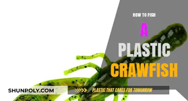 Master Plastic Crawfish Fishing: Tips and Techniques